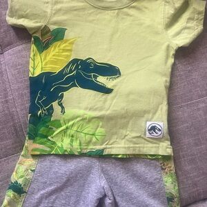 Jurassic Park shorts set